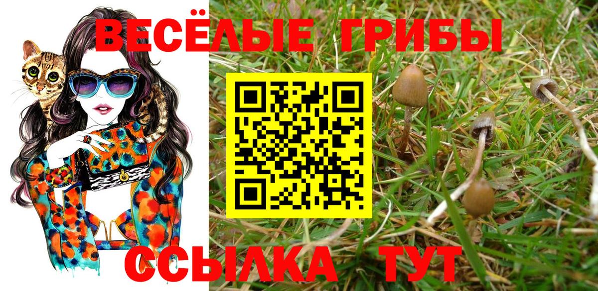 Феодосия  Галлюциногенные грибы мицелий  Вход с VPN 
