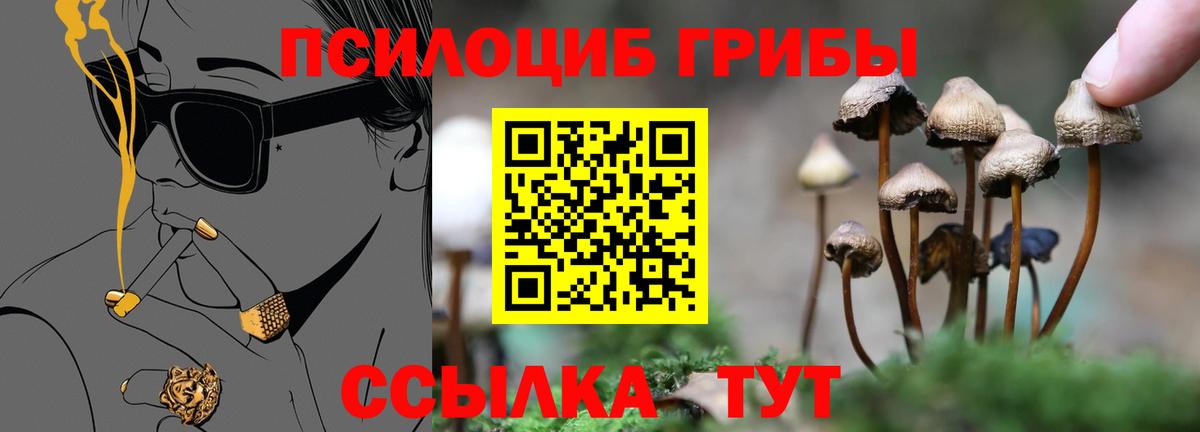 Галлюциногенные грибы мицелий Феодосия